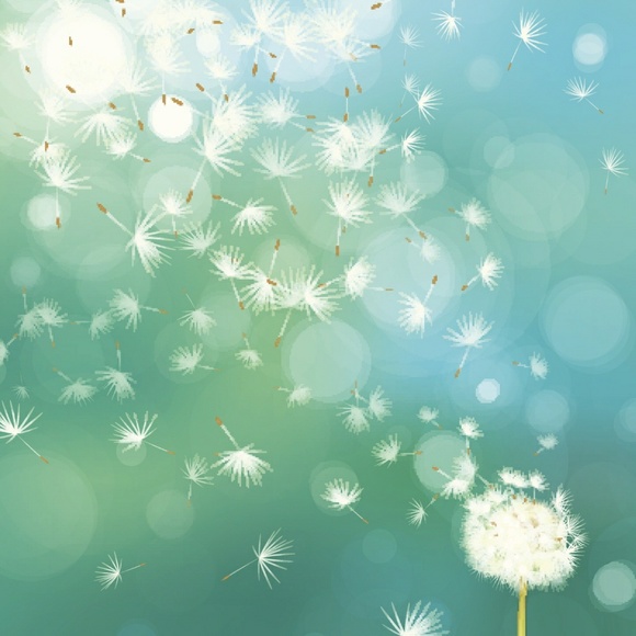 Meet your Posher, Karen - Picture 1 of 1